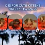 C IS FOR CUTE KITTENS – GROUP K15-029725